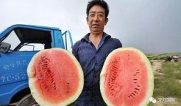 外国吃瓜vs中国吃瓜事件,一场跨国的网络围观盛宴