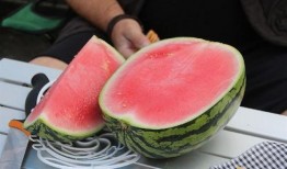 吃瓜无后代,无后代背后的社会思考