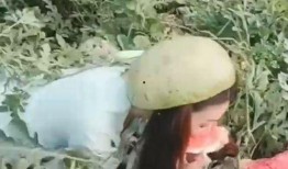 小姐姐旅游吃瓜,吃瓜之旅趣味横生