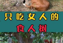 奇闻异事 - 吃瓜大队