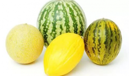 夏天吃瓜降暑吗,吃瓜降温，清凉一夏