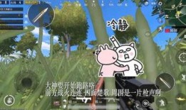 吃鸡呆瓜音乐,带你领略游戏与音乐的完美融合