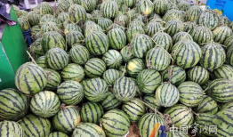 宁波鄞州区吃瓜