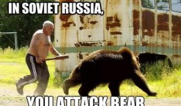 吃瓜熊打架视频,吃瓜熊的激烈对决瞬间