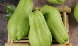 佛手瓜炒着吃怎么吃,美味与营养的双重享受