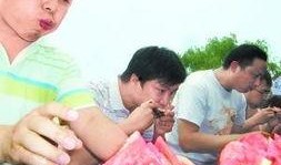 吃瓜大赛冠军视频,揭秘吃瓜大赛冠军的绝技与风采