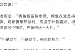 笛笛吃瓜全文,一场爆笑的校园风云录