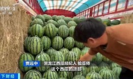 易欣吃瓜,揭秘娱乐圈背后的那些事儿