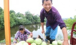 枝江市吃瓜,探寻枝江市特色美食之旅