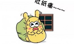 纯正吃瓜群众,吃瓜群众视角下的明星幕后故事