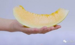 吃瓜后嘴里泛酸,揭秘嘴里泛酸的秘密