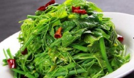 福寿瓜尖怎么吃,解锁美味新境界