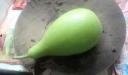 煮葫芦瓜吃,煮葫芦瓜的简单做法与营养解析