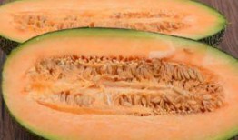 西北人吃哈密瓜,西北风味中的哈密瓜传奇