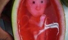 吃瓜恐怖照片大全,揭秘吃瓜恐怖照片大全背后的惊悚故事