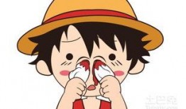 经常吃凉瓜会流鼻血吗吗