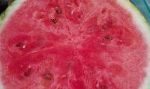 吃瓜差点自己变成瓜,一场意外的“瓜”生奇遇