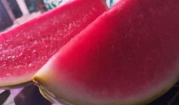 中午吃瓜心情,心情愉悦的午后时光