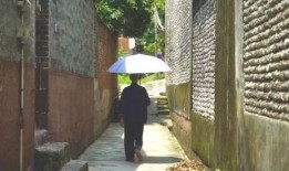 峰峰公园吃瓜事件,一场引发热议的公共道德风波