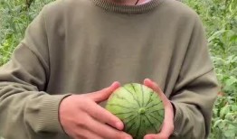 扒皮吃瓜,揭秘娱乐圈背后的真相与内幕