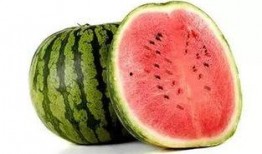 恰恰恰恰吃瓜,揭秘娱乐圈的甜蜜瓜田