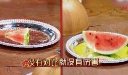 大型吃瓜名场面,揭秘娱乐圈幕后风云