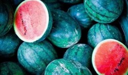 澳洲吃瓜网,揭秘澳洲娱乐圈那些事儿