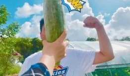 带你吃瓜矿工,揭秘数字货币挖矿背后的故事