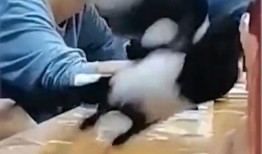 吃瓜最近女学生,揭秘近期女学生吃瓜事件背后的真相