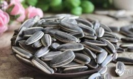 梦见吃瓜还有瓜子儿,揭秘吃瓜与瓜子儿的神秘寓意