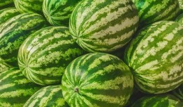 吃瓜群在哪家,吃瓜群背后的神秘平台