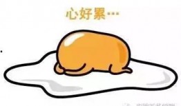 吃瓜被骗怎么退钱,教你如何巧妙退回被骗款项