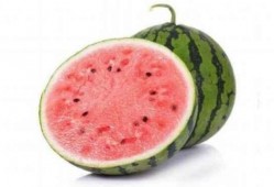 麒麟吃瓜的场地,揭秘神秘场地背后的故事