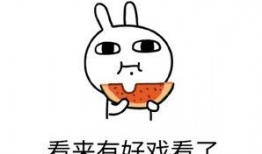 吃瓜弄得自己很生气