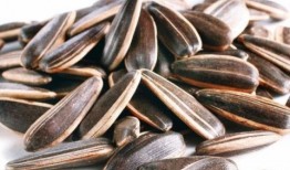 吃瓜子不爱吃瓜,品味独特，偏爱瓜子不喜瓜