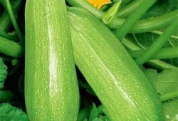 吃瓜网90cn,带你领略网络舆论新风向