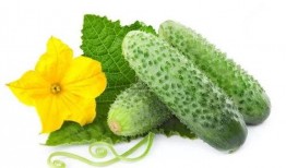 重生自带吃瓜系统,穿越时空的美食盛宴