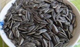 梦见吃瓜还有瓜子儿,揭秘吃瓜与瓜子儿的神秘寓意