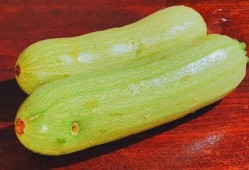 母瓜怎么吃最好,解锁最佳食用之道