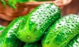 经期可以吃玲珑瓜吗,经期适宜食用玲珑瓜