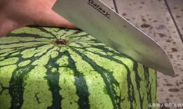 方瓜都怎么吃,解锁美味新境界