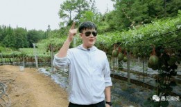 刘爱萍吃瓜,揭秘娱乐圈幕后真相