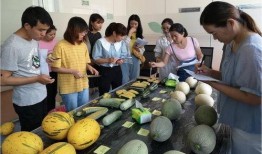 湖北吃瓜科技,揭秘科技圈的那些“瓜”