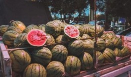 吃瓜后嘴里泛酸,揭秘嘴里泛酸的秘密