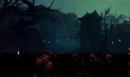 宿主吃瓜真人版,揭秘娱乐圈幕后风云