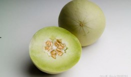 透析吃白兰瓜,营养与健康的完美结合