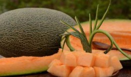 西北人吃哈密瓜,西北风味中的哈密瓜传奇