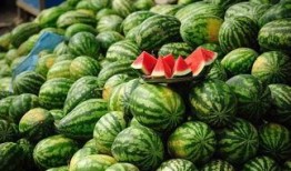 淡淡吃瓜2,揭秘娱乐圈背后的秘密与真相