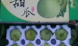 吃羊角瓜拉稀,羊角瓜致拉稀现象解析与预防措施