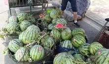 威海打架吃瓜事件,一场意外引发的全民“吃瓜”盛宴